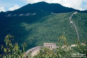 The Great Wall of China winds its way across mountains. The Great Wall of China winds its way across mountains.