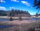 River running through a wooded area in Icy Strait Point.