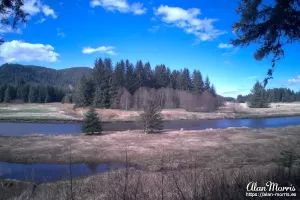 River running through a wooded area in Icy Strait Point.