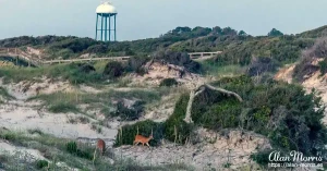 jekyll island04