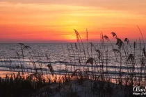 jekyll island06