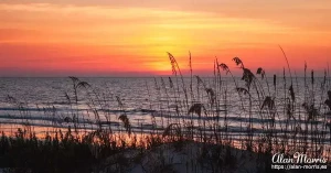 jekyll island06