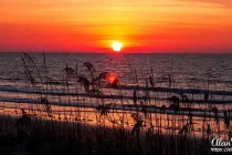 jekyll island07