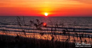 jekyll island07