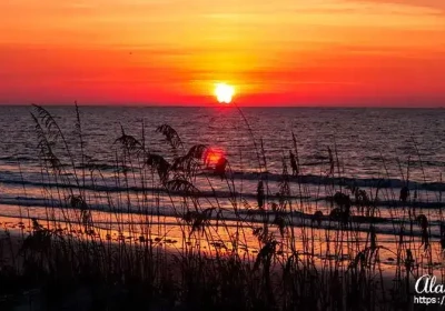 Jekyll Island Photos.
