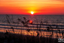Sunrise over the Atlantic Ocean at Jekyll Island, Georgia.