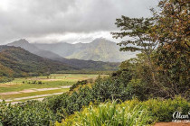 Farmed fields in a valley on Kauai