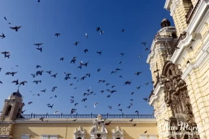 Pigeons in the sky outside the Church of San Francisco. Pigeons in the sky outside the Church of San Francisco.