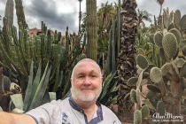 majorelle garden25