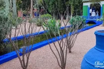 majorelle garden28