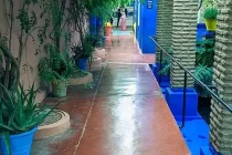 majorelle garden31