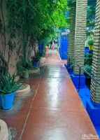 majorelle garden31