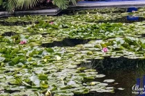majorelle garden32