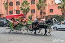 marrakech medina34