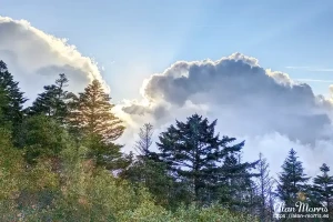 Sun lighting up clouds over the forest on the descent from Mount Fuji. Sun lighting up clouds over the forest on the descent from Mount Fuji.
