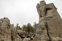 needles rock02