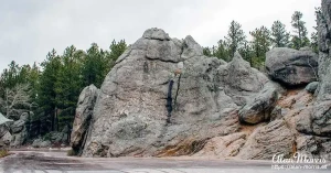 needles rock06