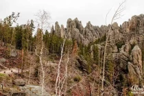 needles rock09