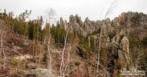 needles rock09
