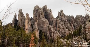 needles rock10