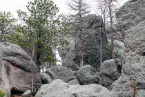 Trees growing around the Needles Eye rock formation.