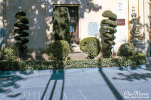 Topiary outside the Church of San Hipolito, Cordoba. Topiary outside the Church of San Hipolito, Cordoba.
