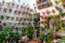 patio3