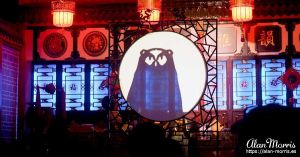 Owl produced by a shadowgrapher at the Sichuan Opera.