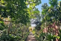 botanical2