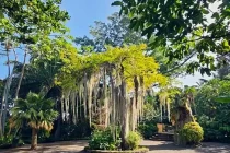 botanical3