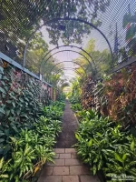 botanical4