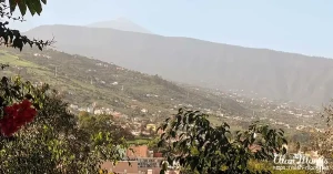 oratava3