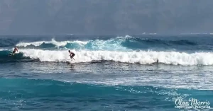 surfers1