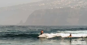 surfers2