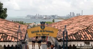 olinda6 olinda6