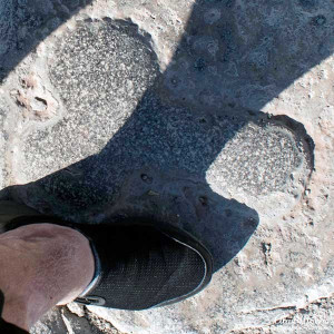 A stone penis in the cobbled street of Pompeii