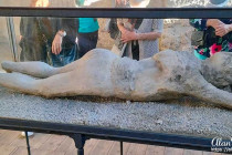 Cast of a body that was burried in ash from Mount Vesuvias at Pompeii.
