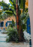courtyard8