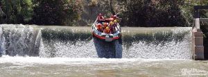 rafting5