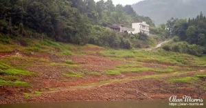 shennong stream04 shennong stream04