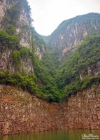shennong stream10 shennong stream10