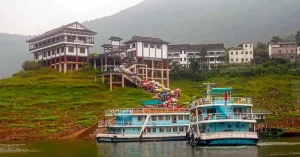 shennong stream14