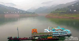 shennong stream15