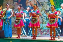 shennong stream19