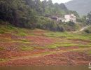 Building in the countryside along the side of the Shennong Stream.