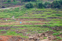 Path leads up to a house along the banks of the Shennong Stream.
