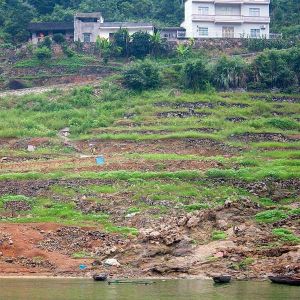 Path leads up to a house along the banks of the Shennong Stream.