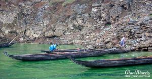 Small boats moored on the side of the Shennong stream.