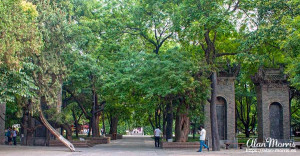 Gardens at the Small Wild Goose Pagoda in Xi´an. Gardens at the Small Wild Goose Pagoda in Xi´an.