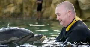 swim dolphin4 swim dolphin4